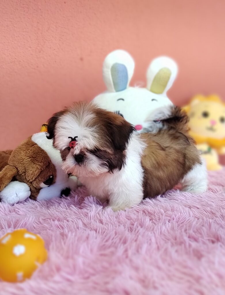 IMG_20230725_134238338_MF_PORTRAIT