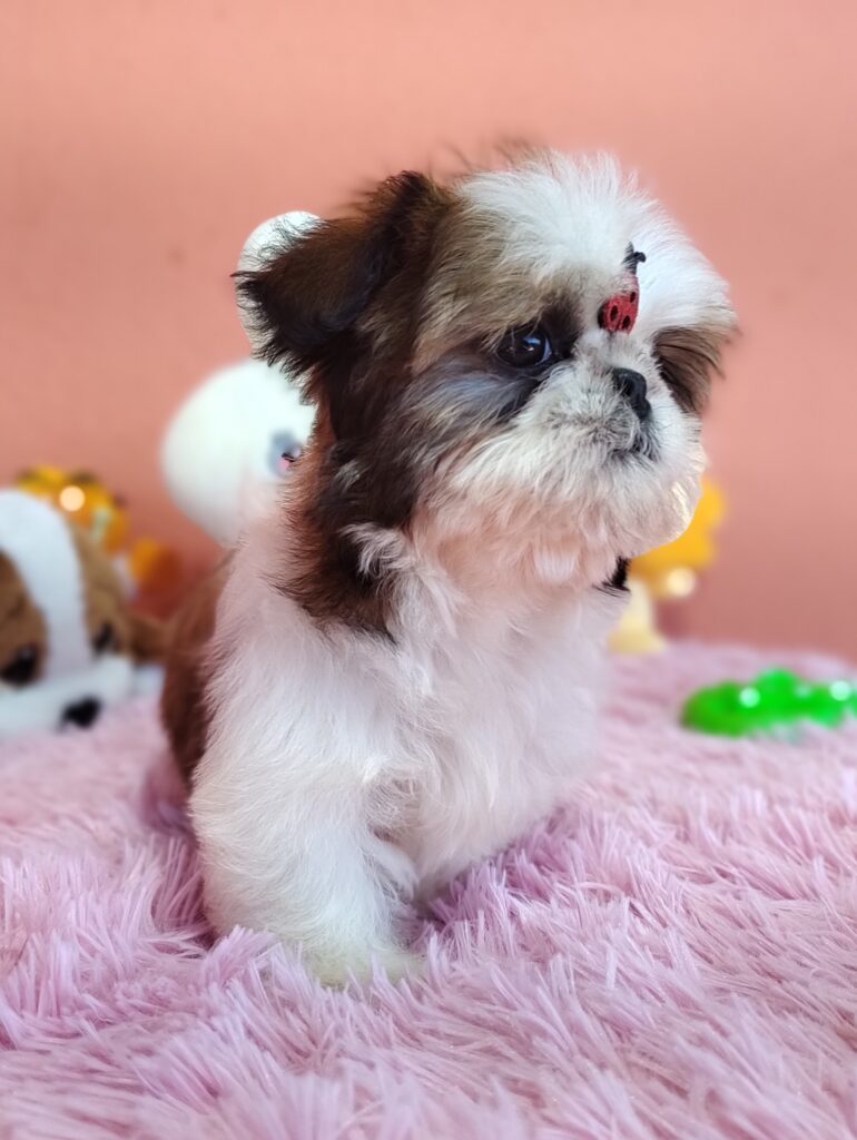 IMG_20230725_134249622_MF_PORTRAIT