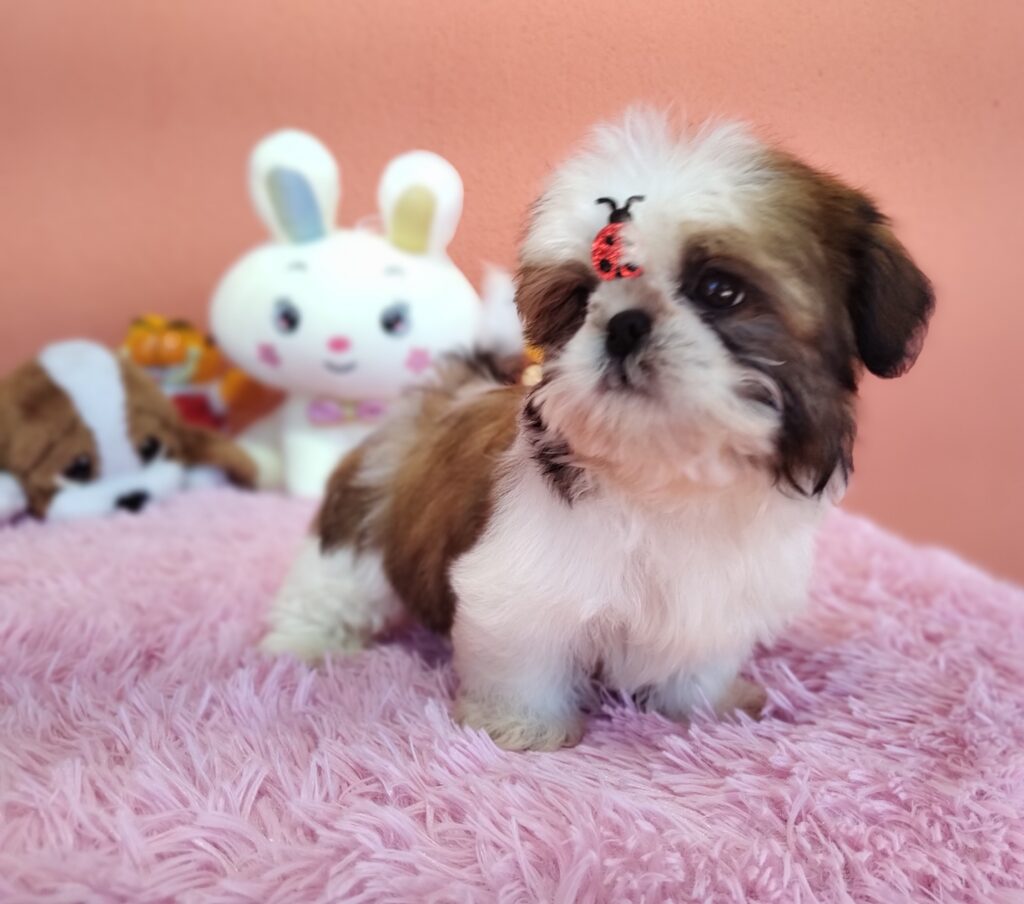 IMG_20230725_134254115_MF_PORTRAIT