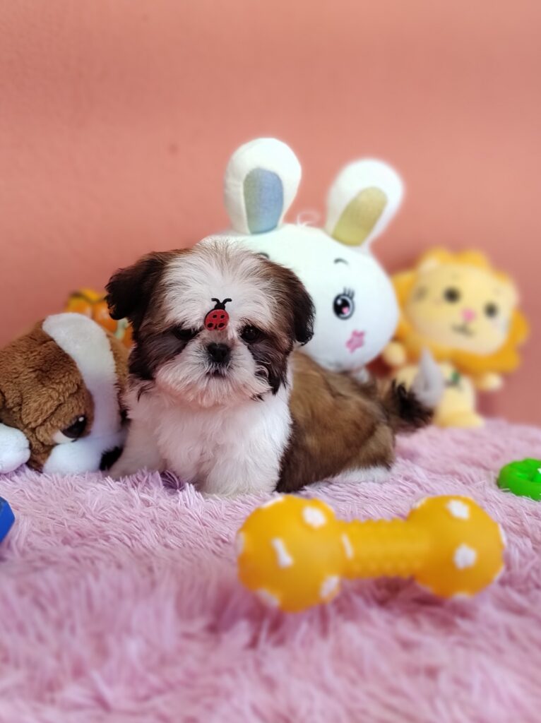 IMG_20230725_134305779_MF_PORTRAIT