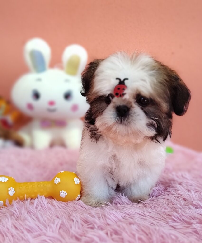 IMG_20230725_134310071_MF_PORTRAIT