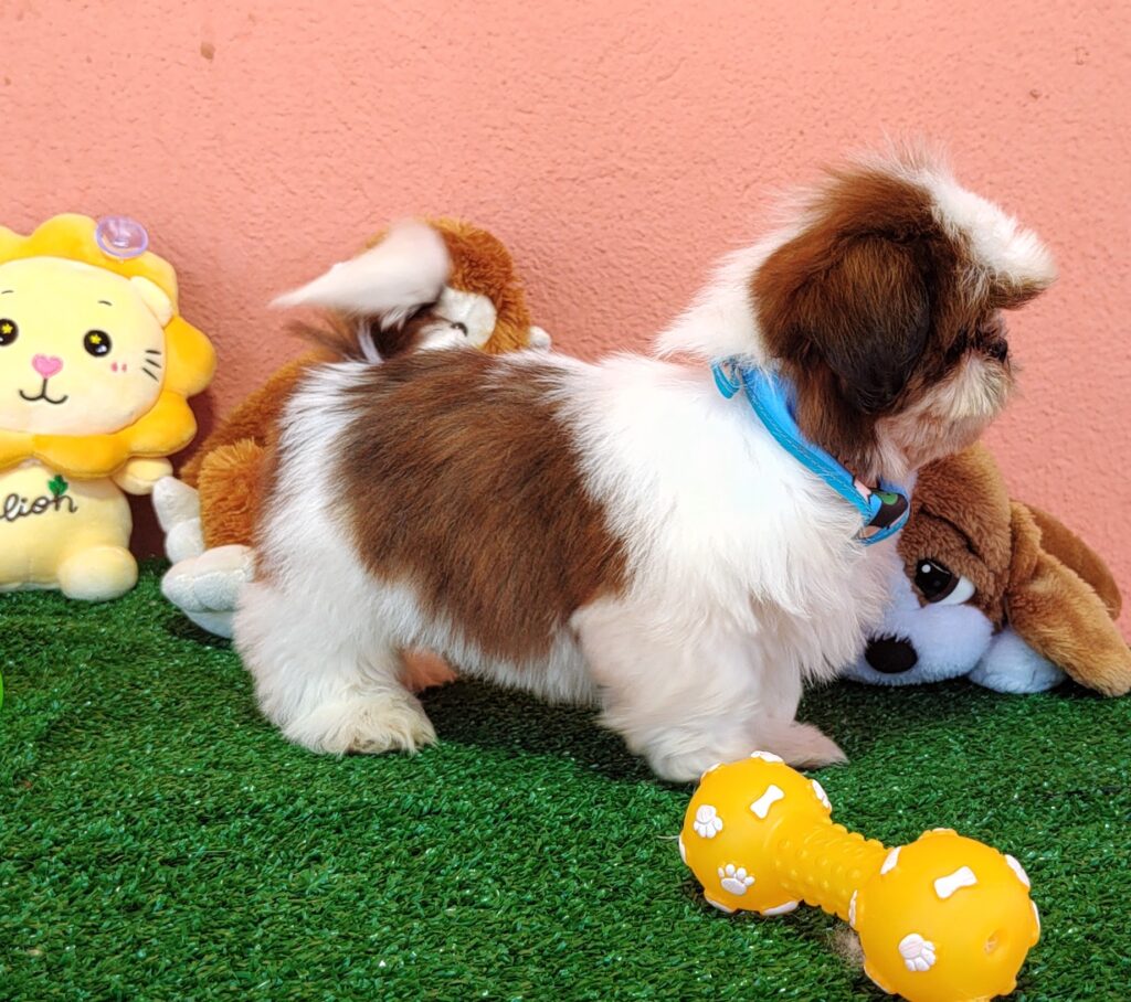 IMG_20230725_134553553