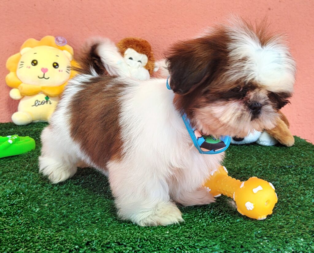 IMG_20230725_134604174_HDR