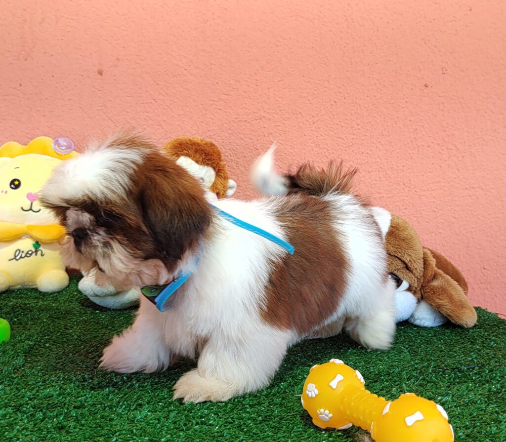 IMG_20230725_134610097