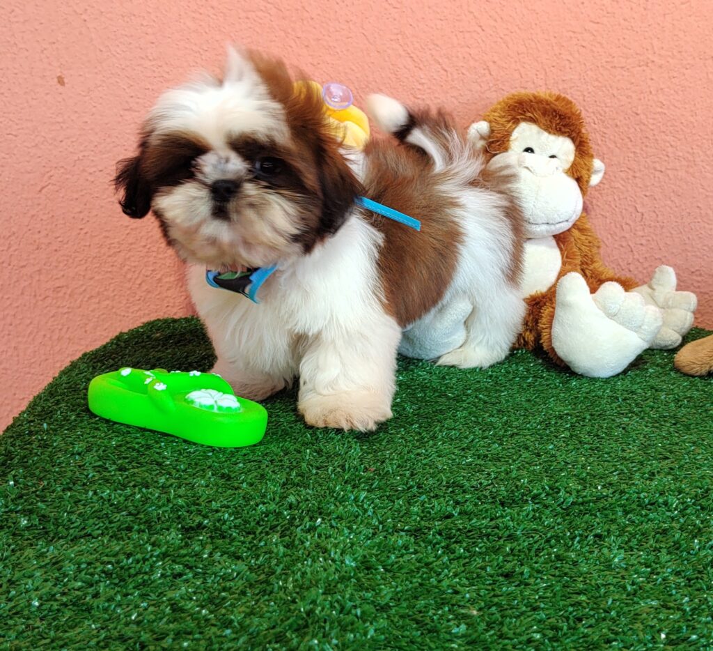 IMG_20230725_134627164