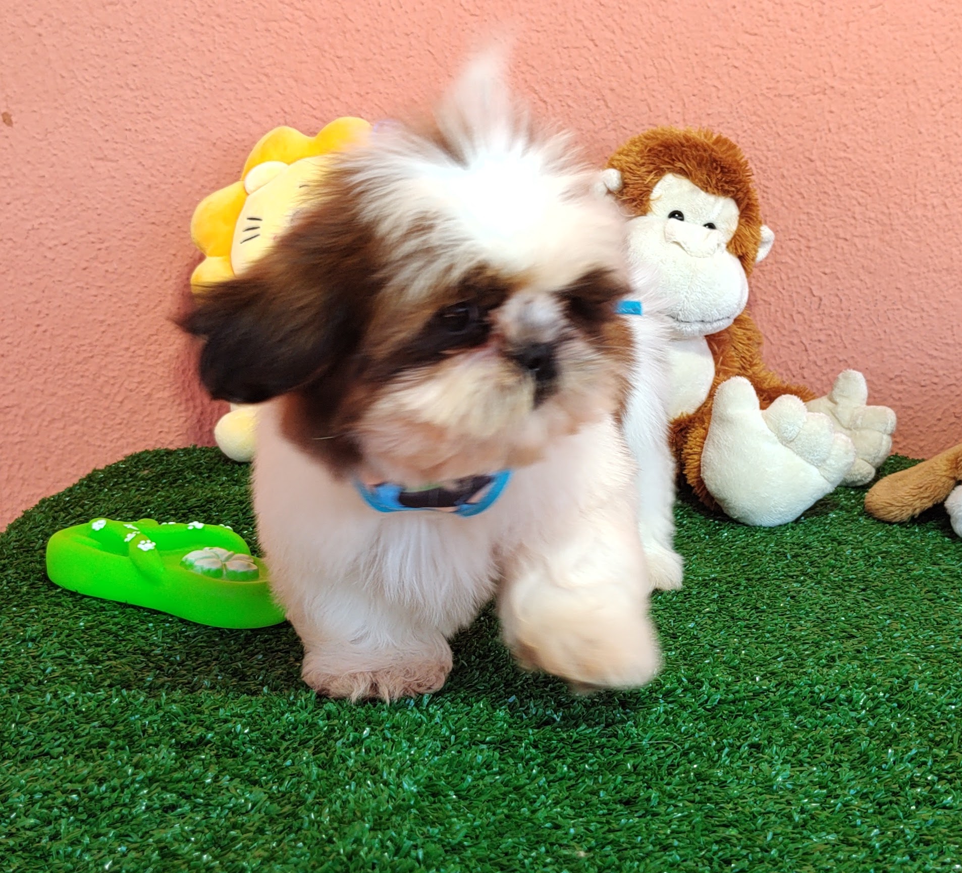 IMG_20230725_134627727