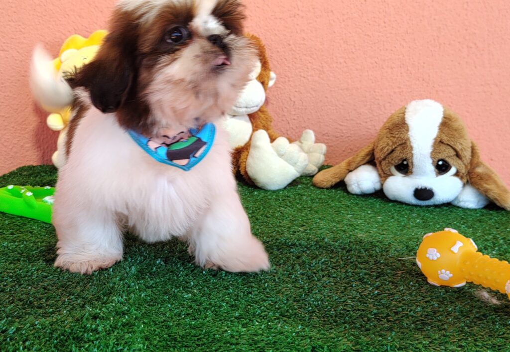 IMG_20230725_134637652