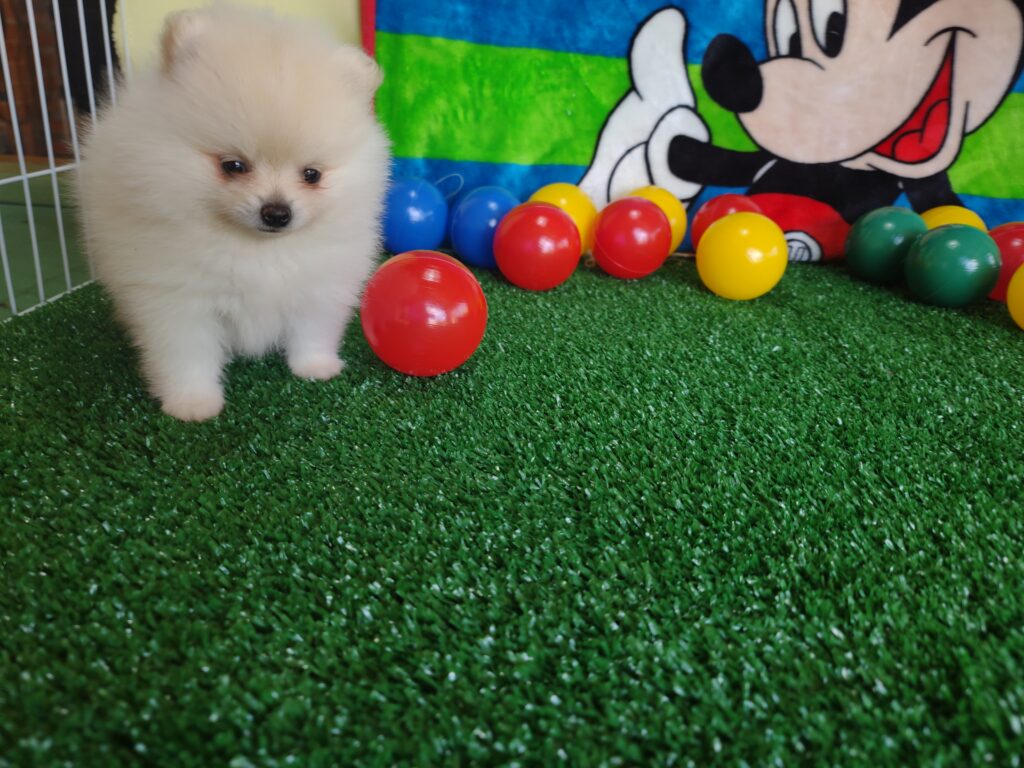 IMG_20210421_121333845