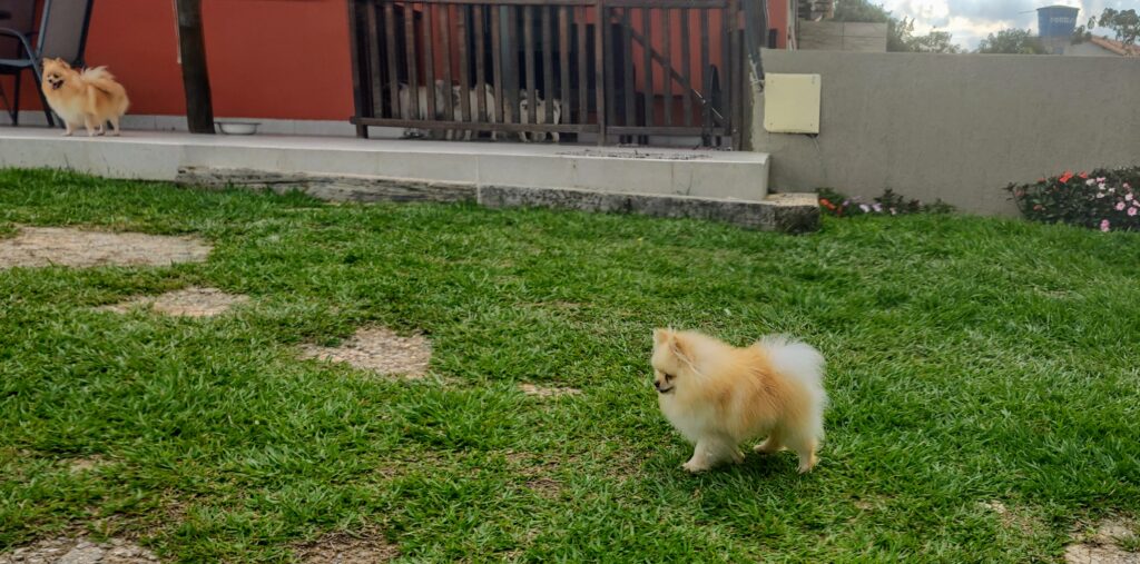 IMG_20211130_165431303_HDR