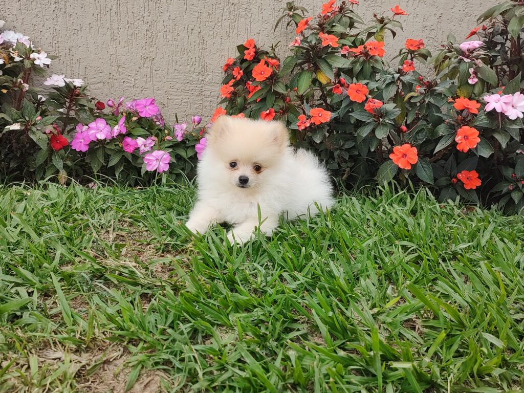 IMG_20220321_161218172