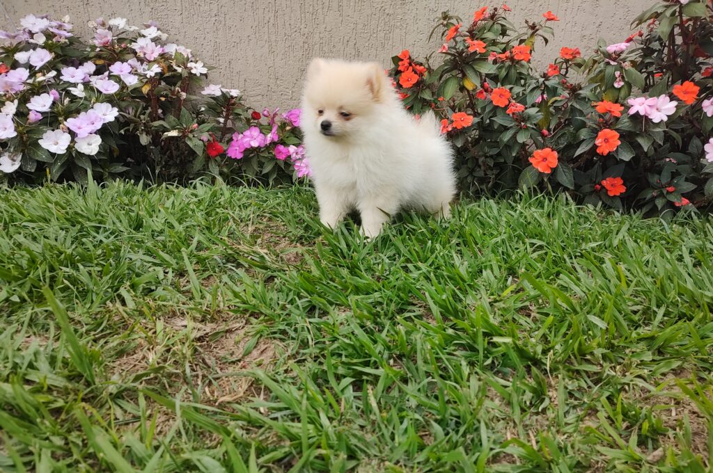 IMG_20220321_161223851