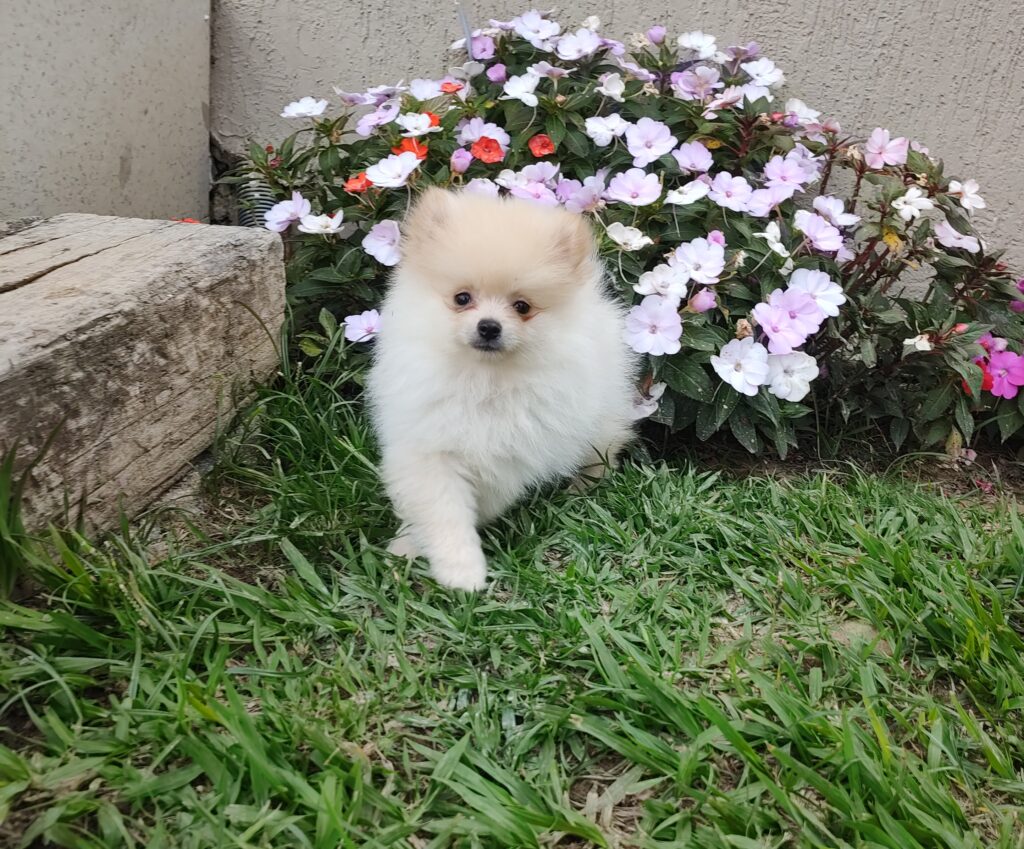 IMG_20220321_161248800