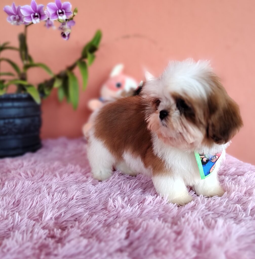 IMG_20230808_144941657_MF_PORTRAIT