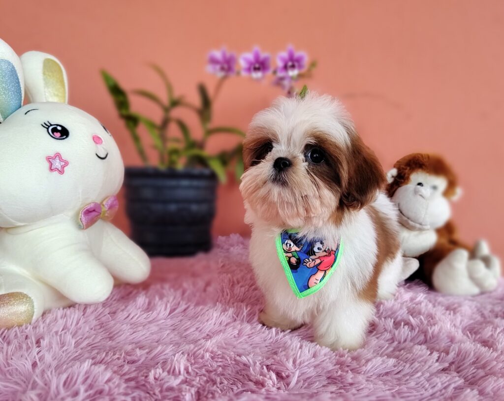 IMG_20230808_145000484_MF_PORTRAIT