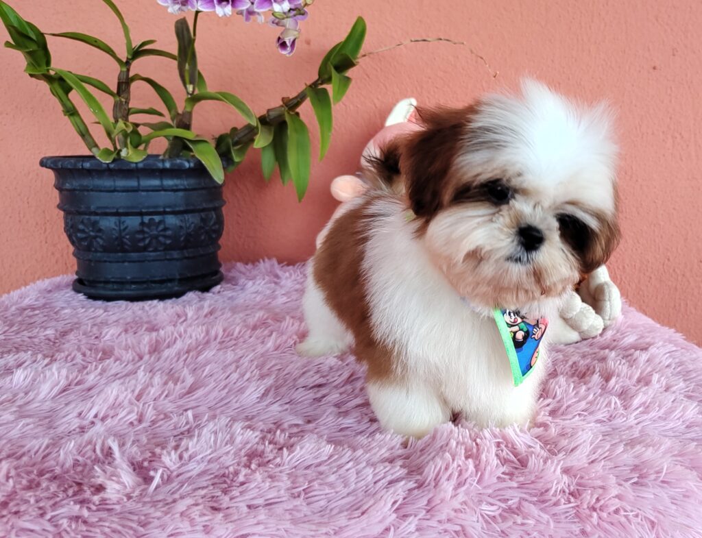 IMG_20230808_145056516