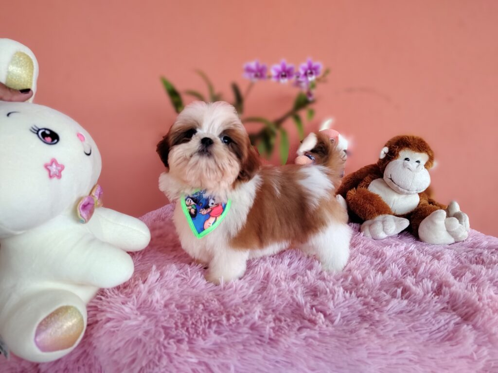 IMG_20230808_145118555_MF_PORTRAIT