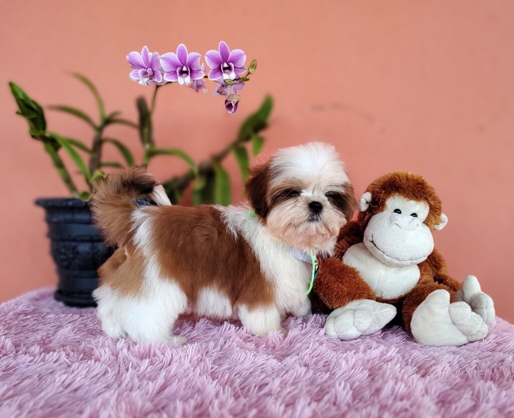 IMG_20230808_145150138_MF_PORTRAIT