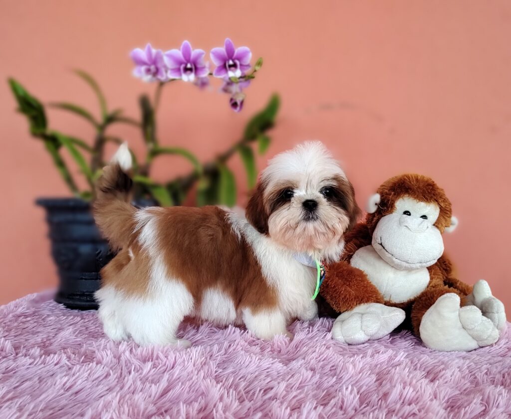 IMG_20230808_145150902_MF_PORTRAIT