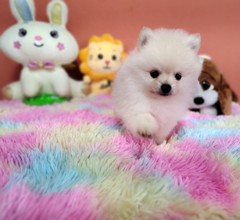 IMG_20230828_110414928_MF_PORTRAIT