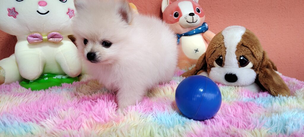 IMG_20230828_110452170