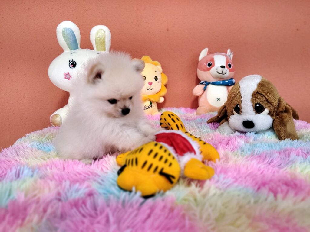 IMG_20230828_110722044_MF_PORTRAIT