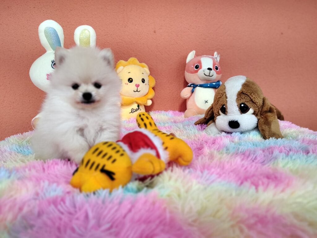 IMG_20230828_110732515_MF_PORTRAIT