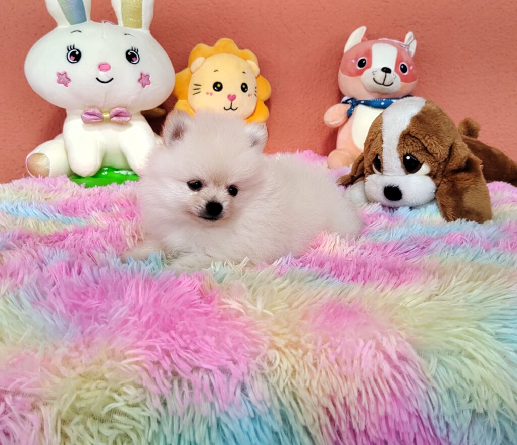 IMG_20230828_110949922