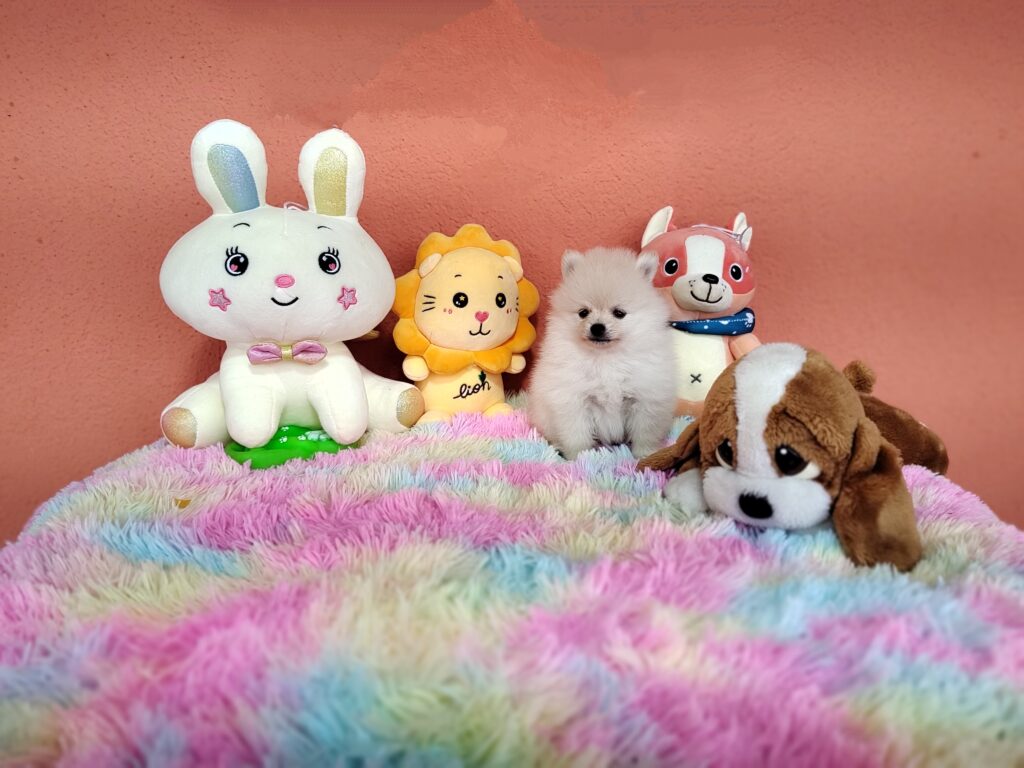 IMG_20230828_111010374_MF_PORTRAIT~2