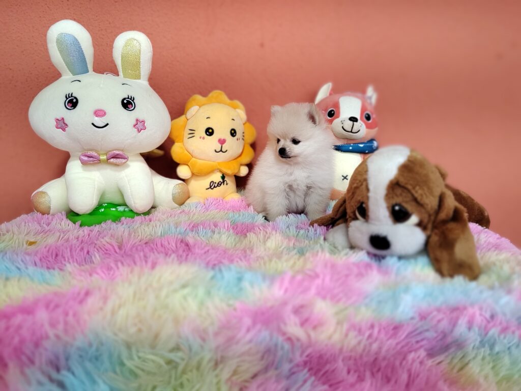 IMG_20230828_111016582_MF_PORTRAIT