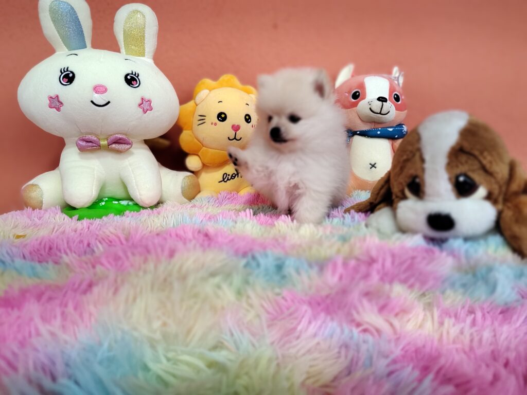 IMG_20230828_111018864_MF_PORTRAIT