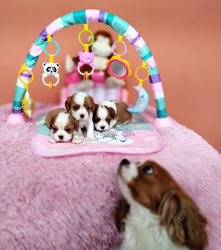 IMG_20230828_115104984_MF_PORTRAIT