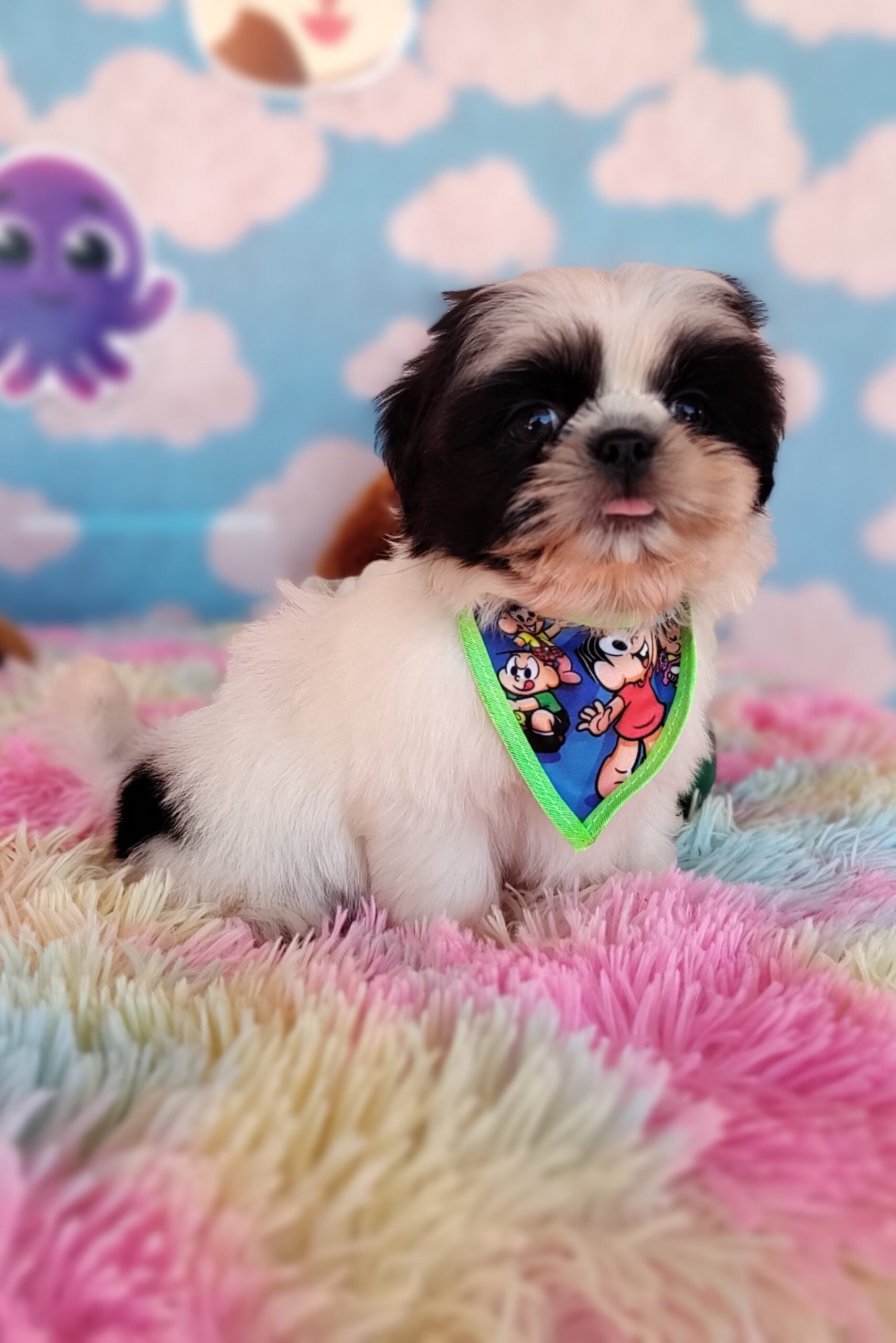 IMG_20230920_125949395_MF_PORTRAIT