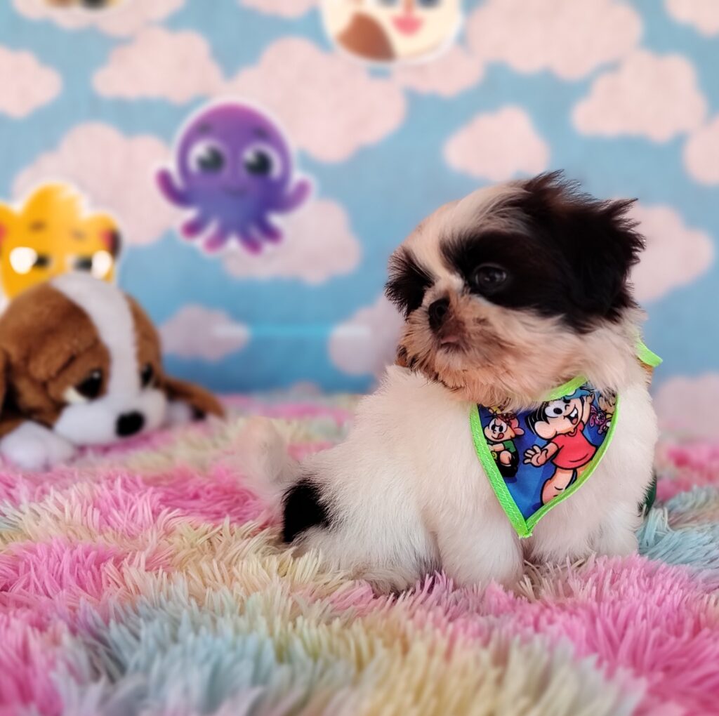 IMG_20230920_125950293_MF_PORTRAIT