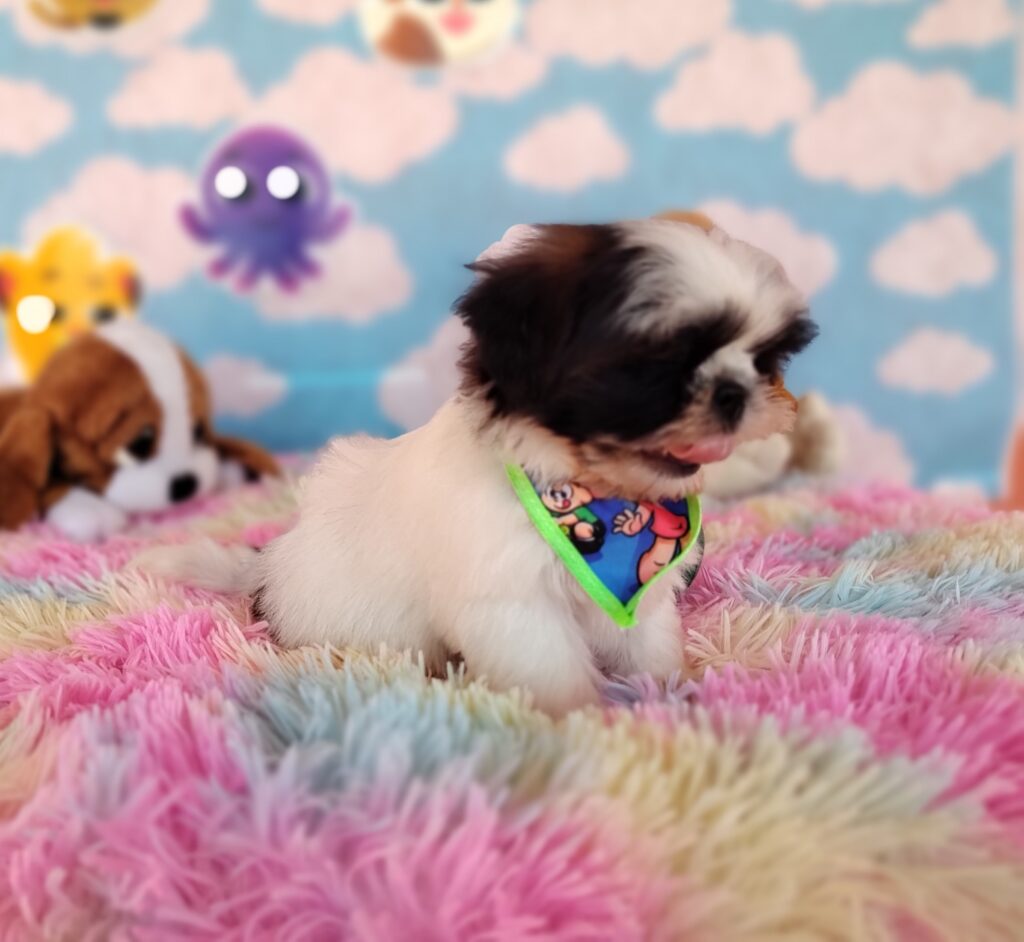 IMG_20230920_130008890_MF_PORTRAIT