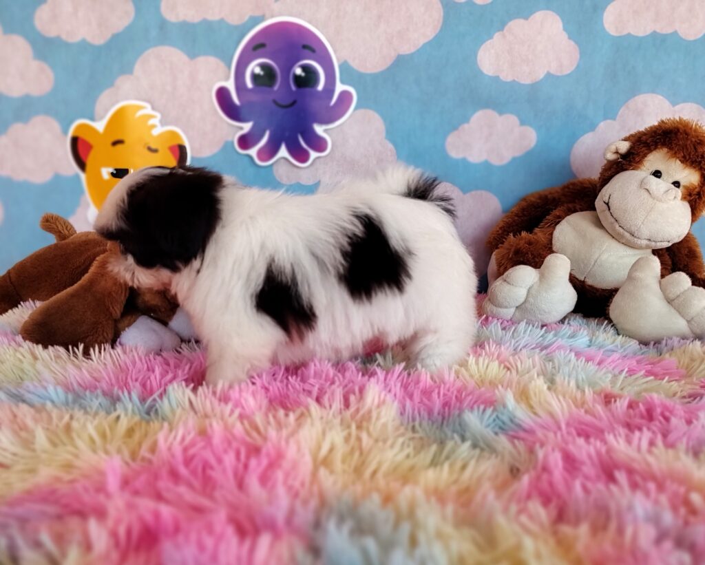 IMG_20230920_130507285_MF_PORTRAIT