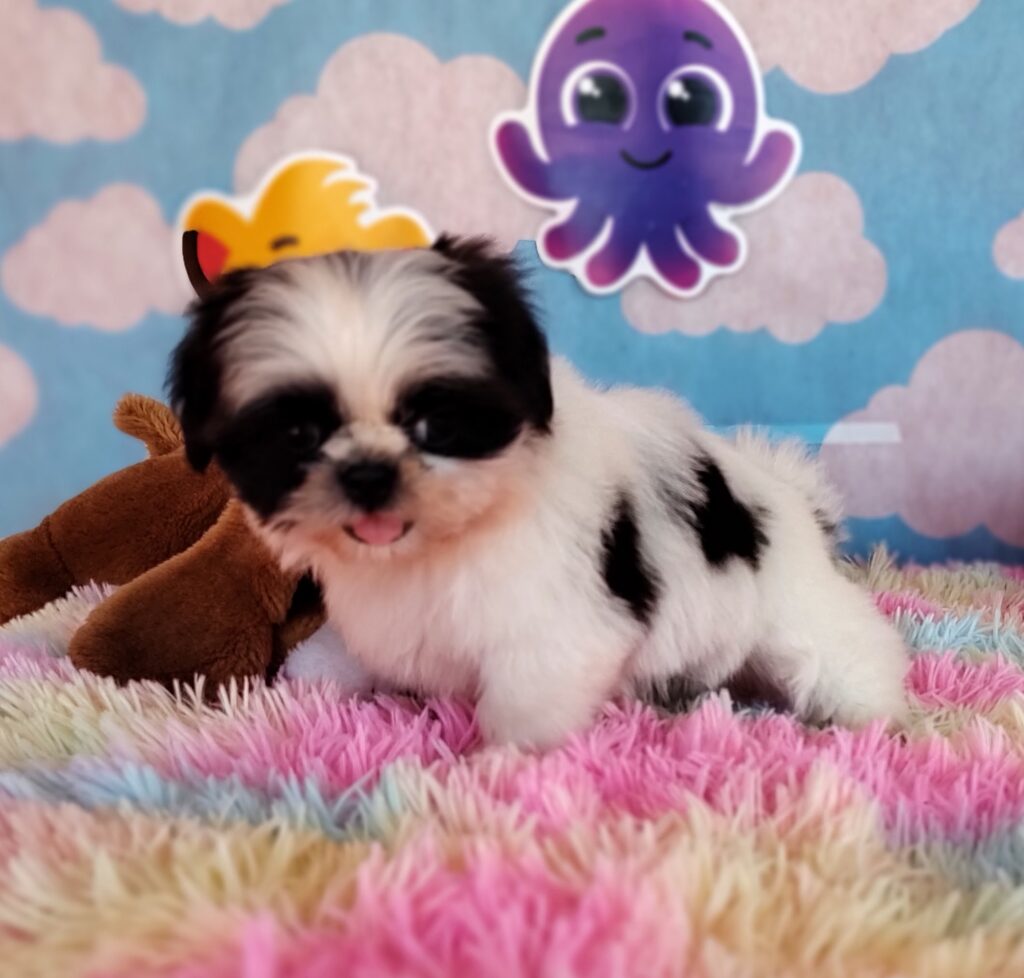 IMG_20230920_130508038_MF_PORTRAIT