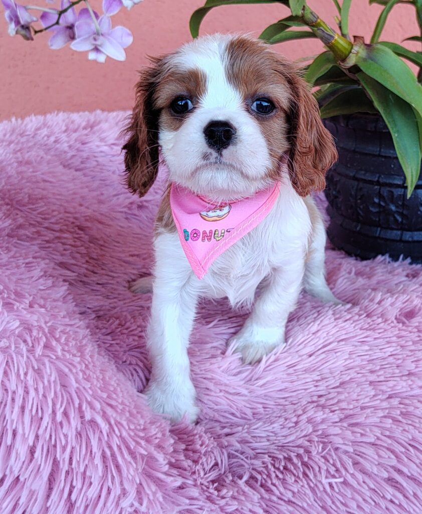 IMG_20230910_145946385