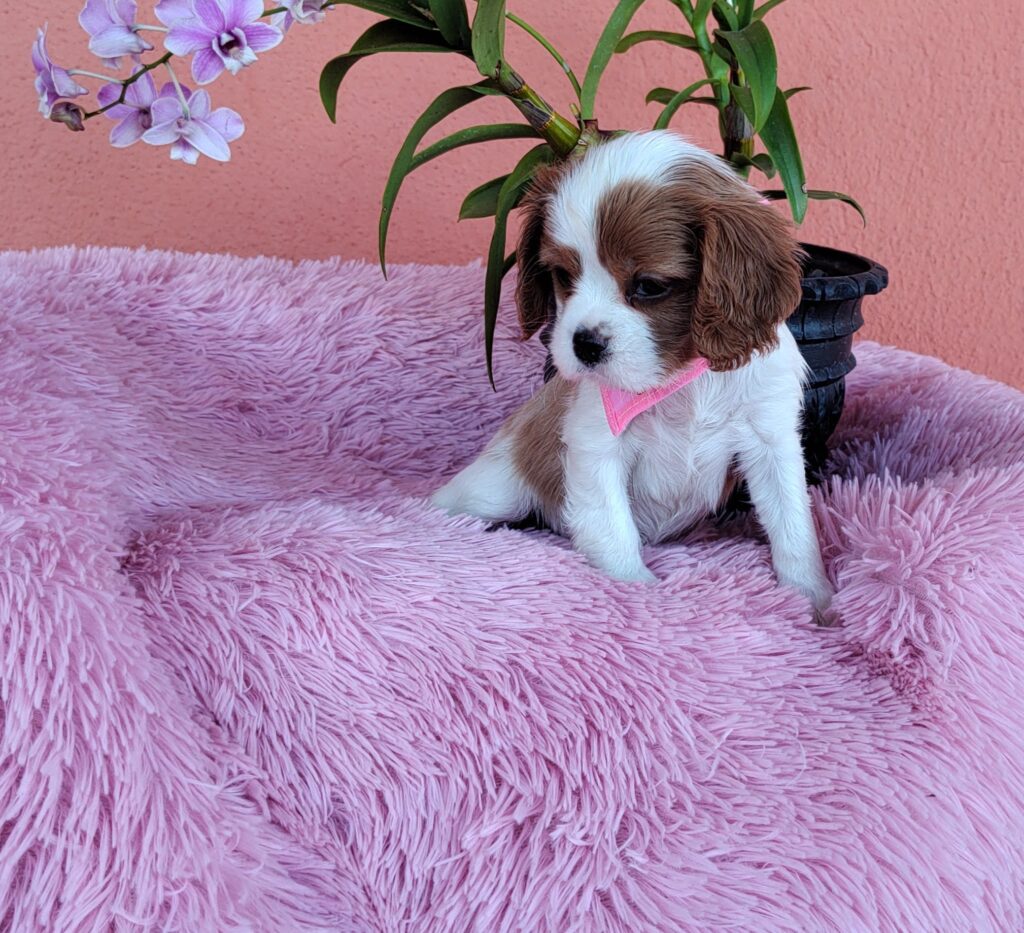 IMG_20230910_150021551