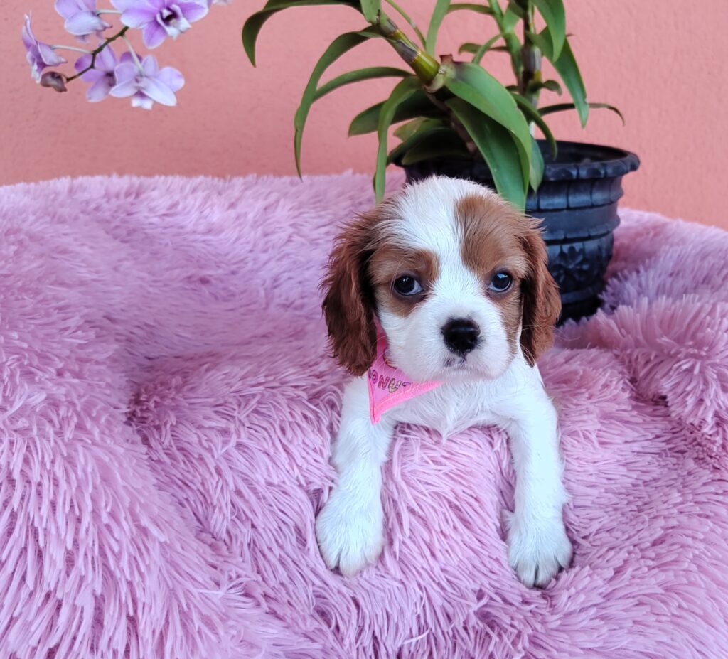 IMG_20230910_150037536