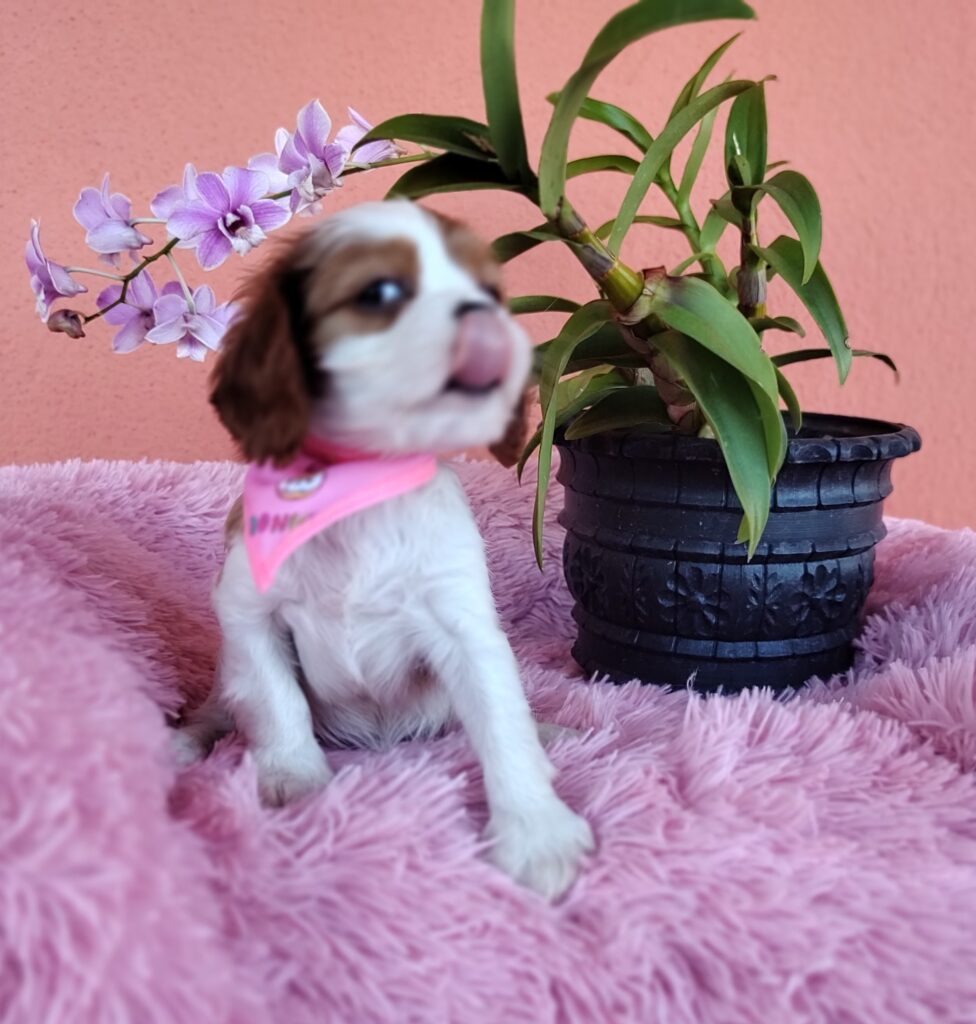 IMG_20230910_150109167_MF_PORTRAIT