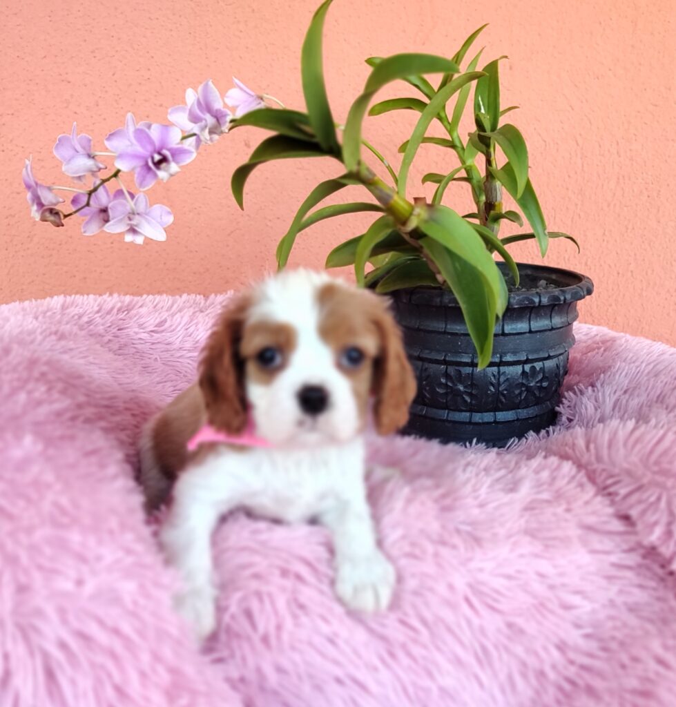 IMG_20230910_150154529_MF_PORTRAIT