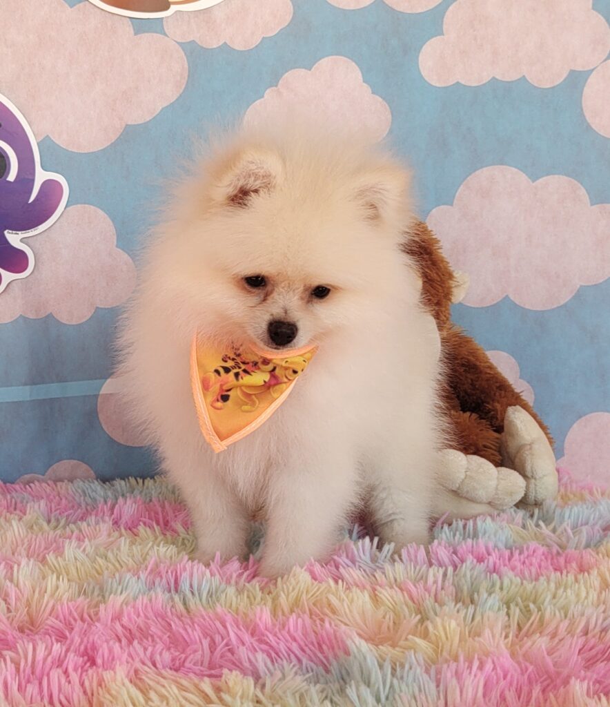 IMG_20230920_124100990