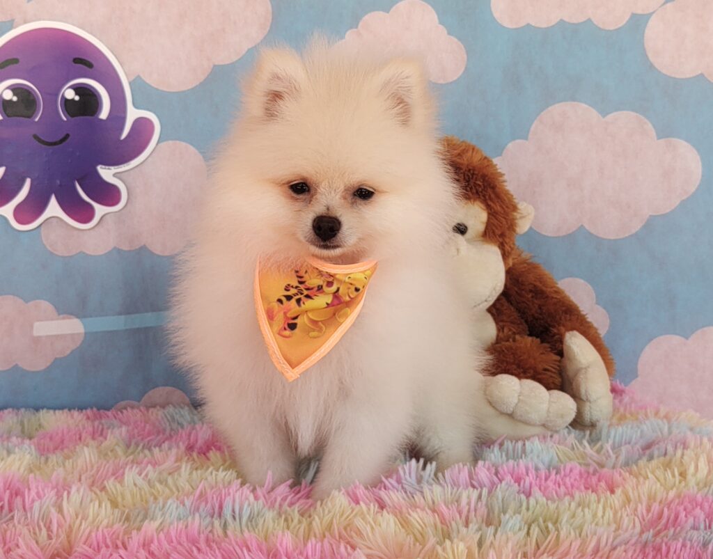 IMG_20230920_124106374_BURST000_COVER_COMP