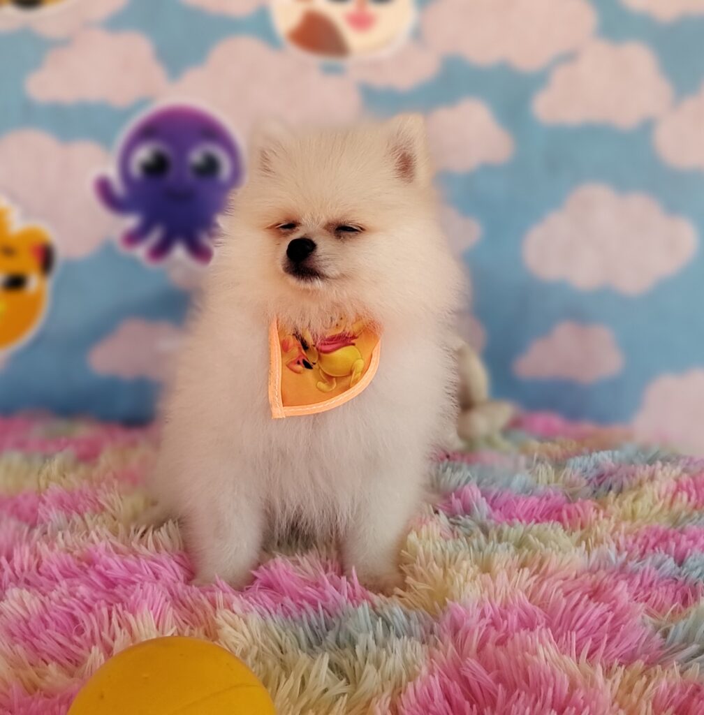 IMG_20230920_124648232_MF_PORTRAIT