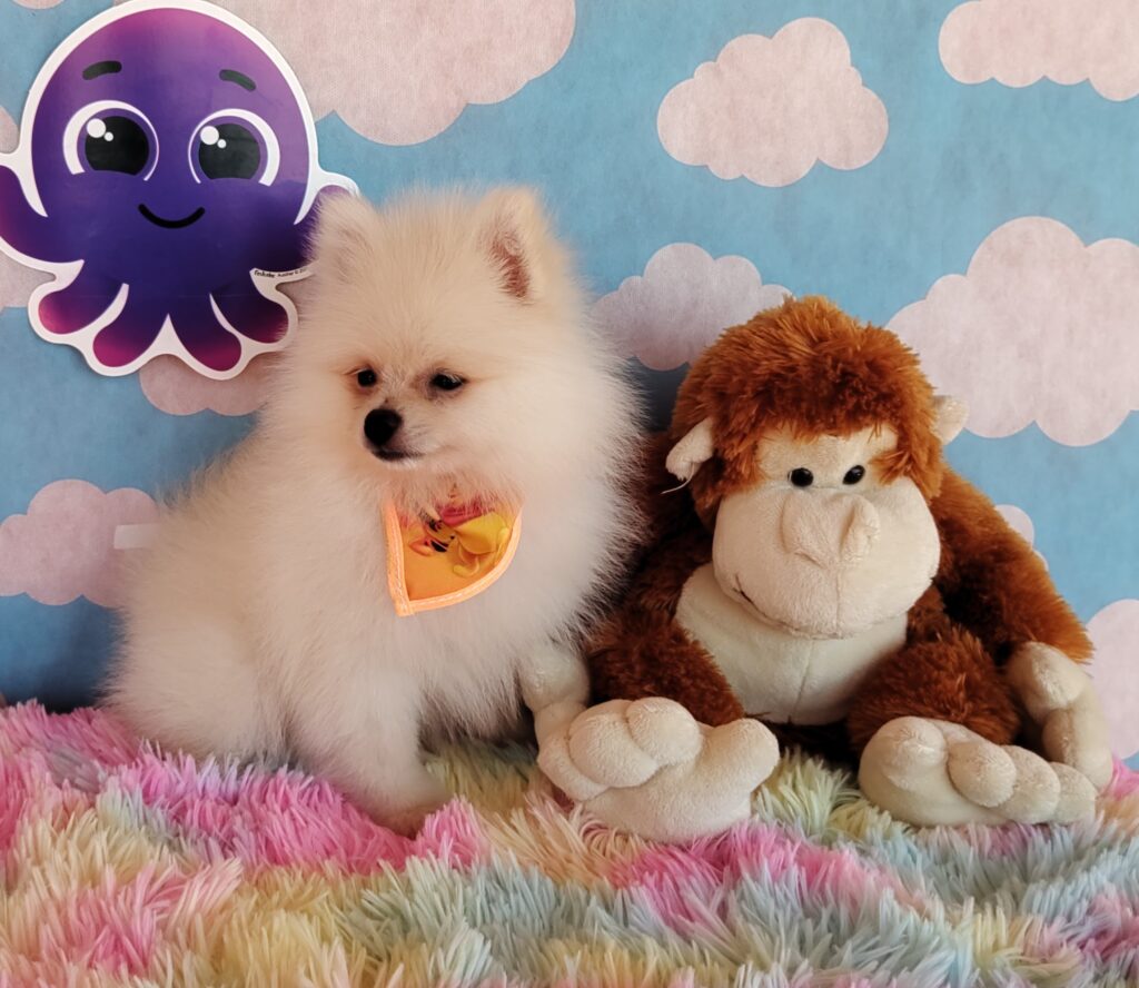 IMG_20230920_125016864