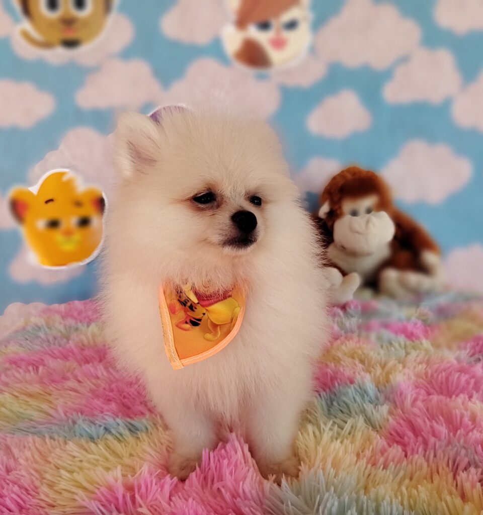 IMG_20230920_125105997_MF_PORTRAIT