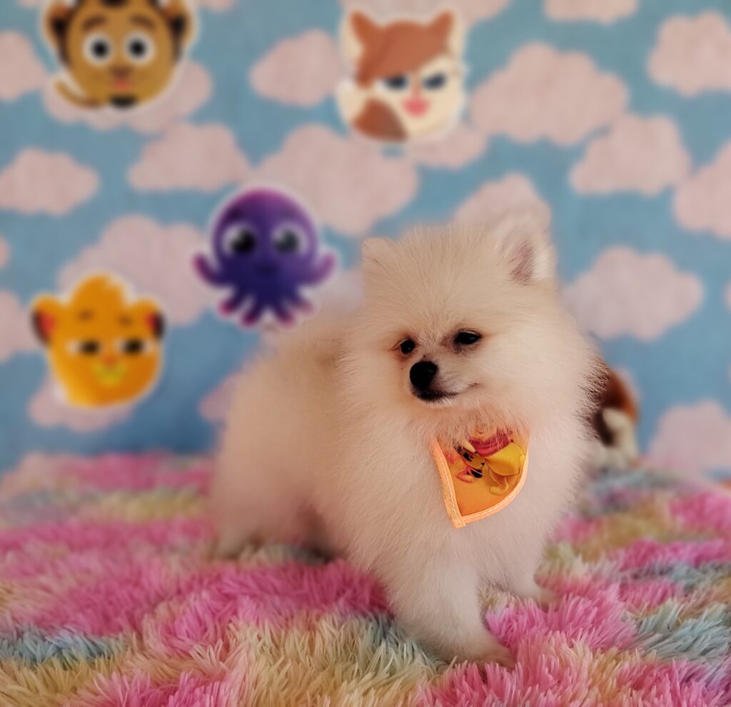 IMG_20230920_125133967_MF_PORTRAIT