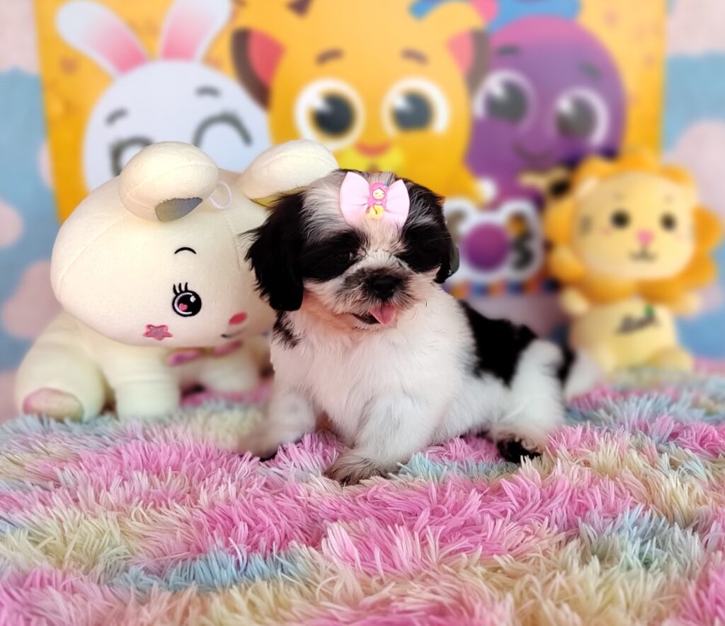 IMG_20230920_131509353_MF_PORTRAIT