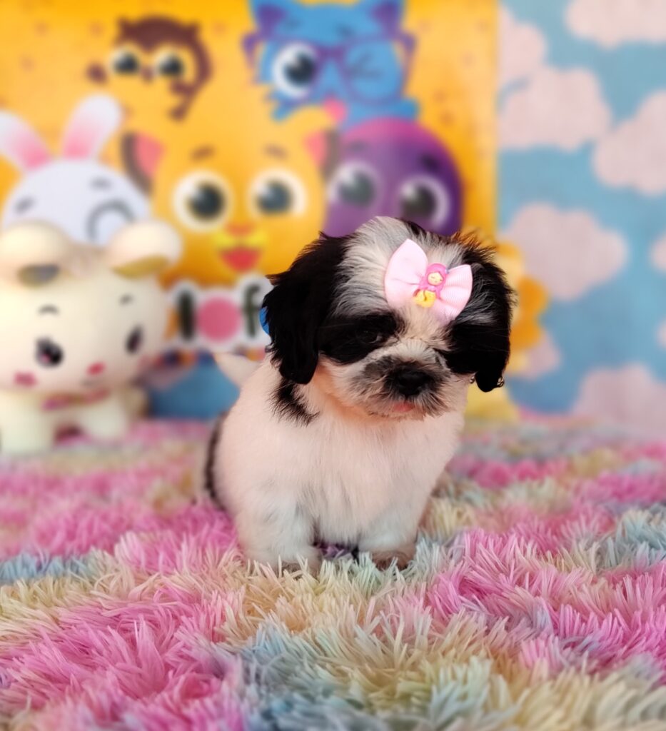 IMG_20230920_131531567_MF_PORTRAIT