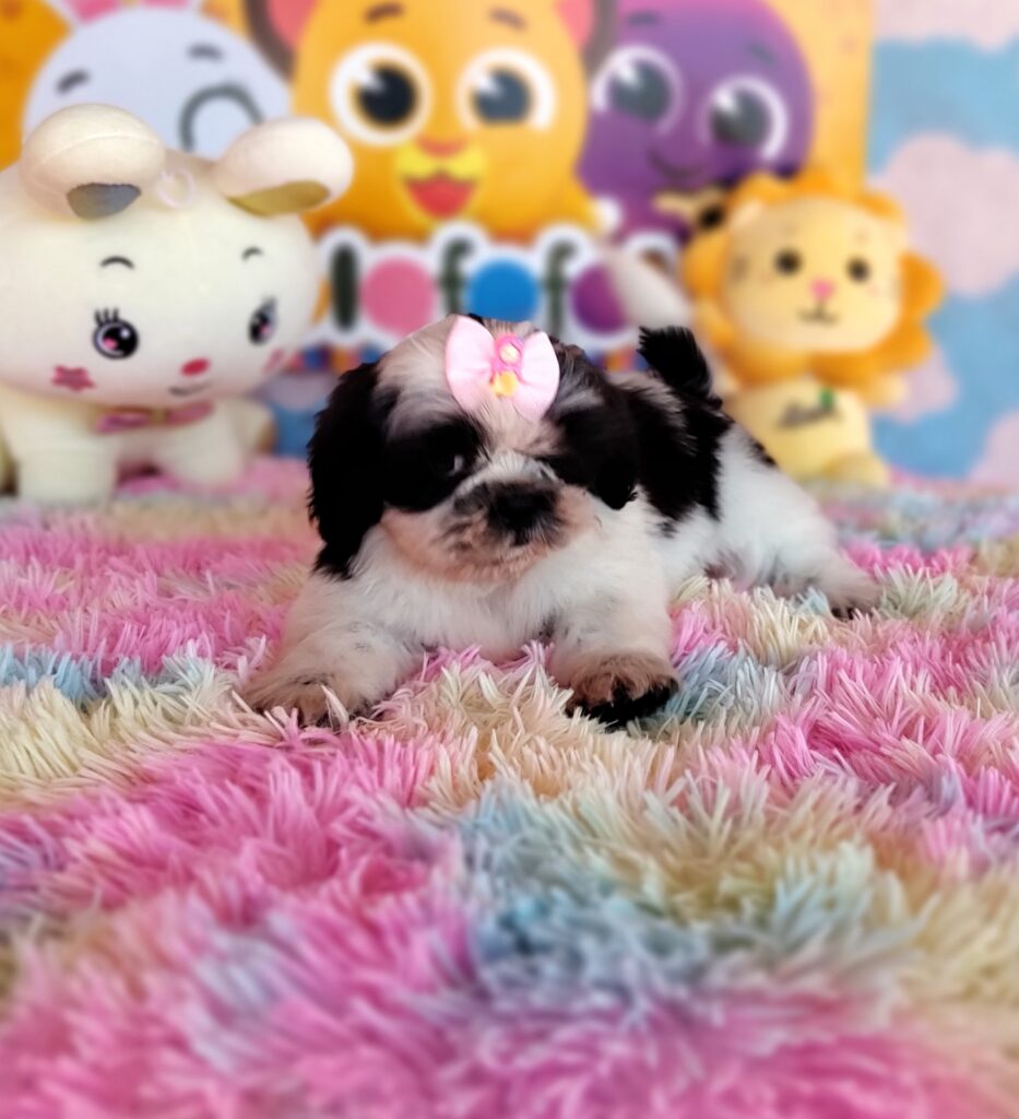 IMG_20230920_131554348_MF_PORTRAIT